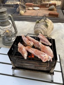 B-6君で手羽中を焼く