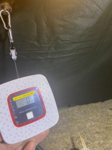 フック付きの強力磁石