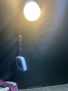 ステルス張りの中身