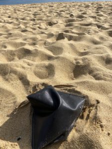 アッシュキャリー