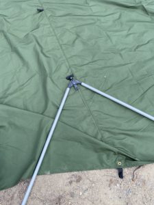 二股化したポール