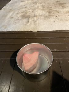 ビンチョウマグロ