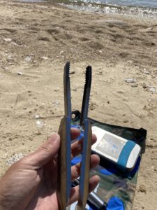 コニファーコーン アングルマスター