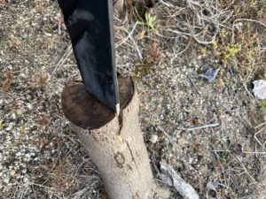 ねじりクサビで薪を割ってみる