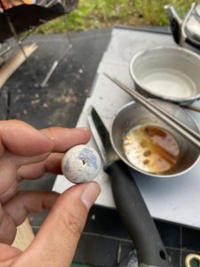 ウズラに穴をあける