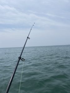 カヤックfひっしんぐの開始