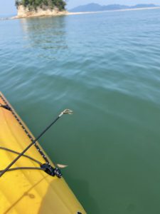 壊れたティップガイド