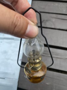 ホヤがくっついたランタン