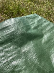 グリーンシート