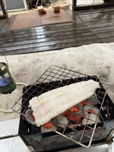 B-6君で鱧を焼く