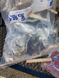 島風生活の岩ガキ