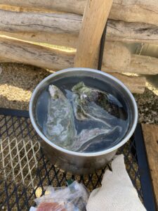 島風生活。の岩ガキを解凍する