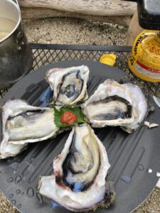 島風生活。の牡蠣を盛り付ける