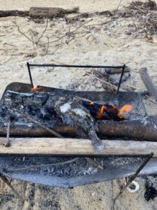 焚き火で焼くカサゴ