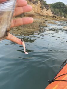 ワームで手釣りをする