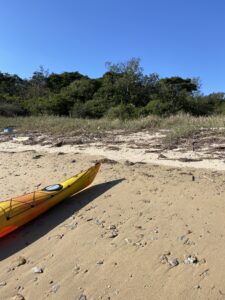 キャンプ地に上陸