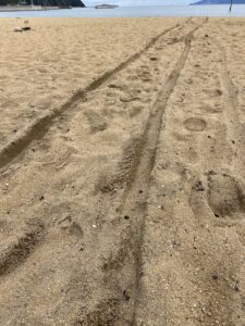 カヤックカートを引いた跡