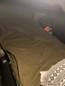 温かい寝床になるブランケット