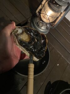 岩ガキを開ける