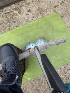 電動チェーンソーを使う