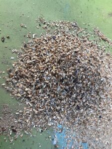 木クズの大きさを合わせる