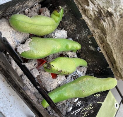 炭火で焼くソラマメ