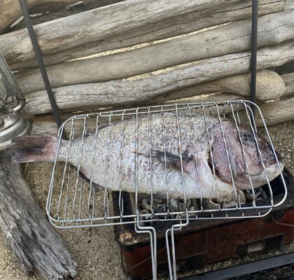 鯛を焼く