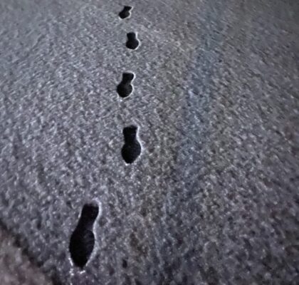 雪の足跡