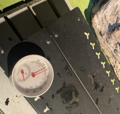 0℃を示す温度計