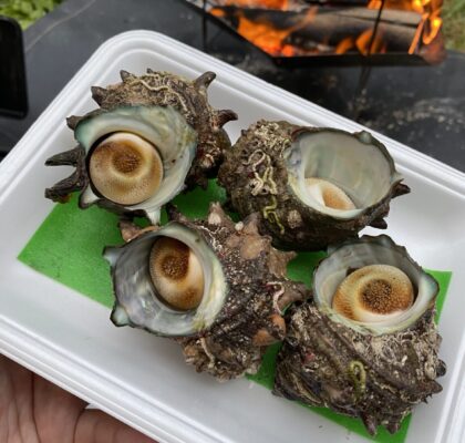 サザエを焚火で焼く