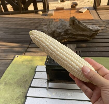 とうもろこしを焼いてみよう