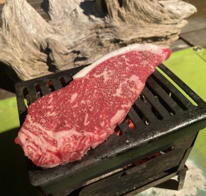 B-6君のギミックを使う